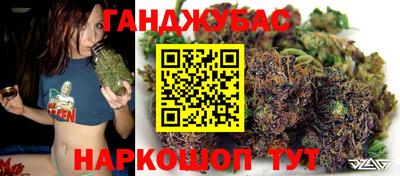 сатива Бузулук