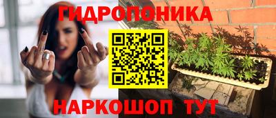 сатива Бузулук