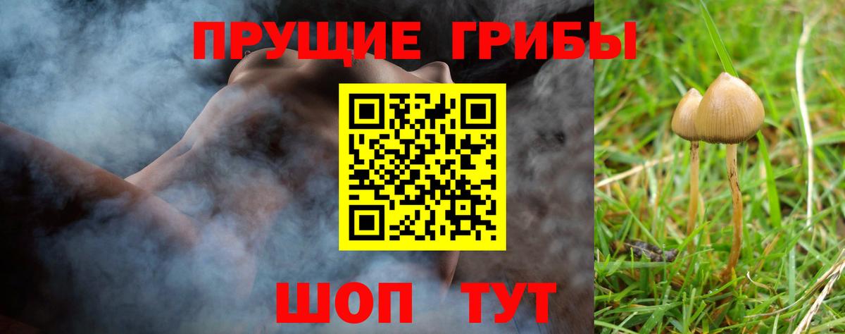 Псилоцибиновые грибы мухоморы Ульяновск
